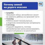 Фотодокумент 